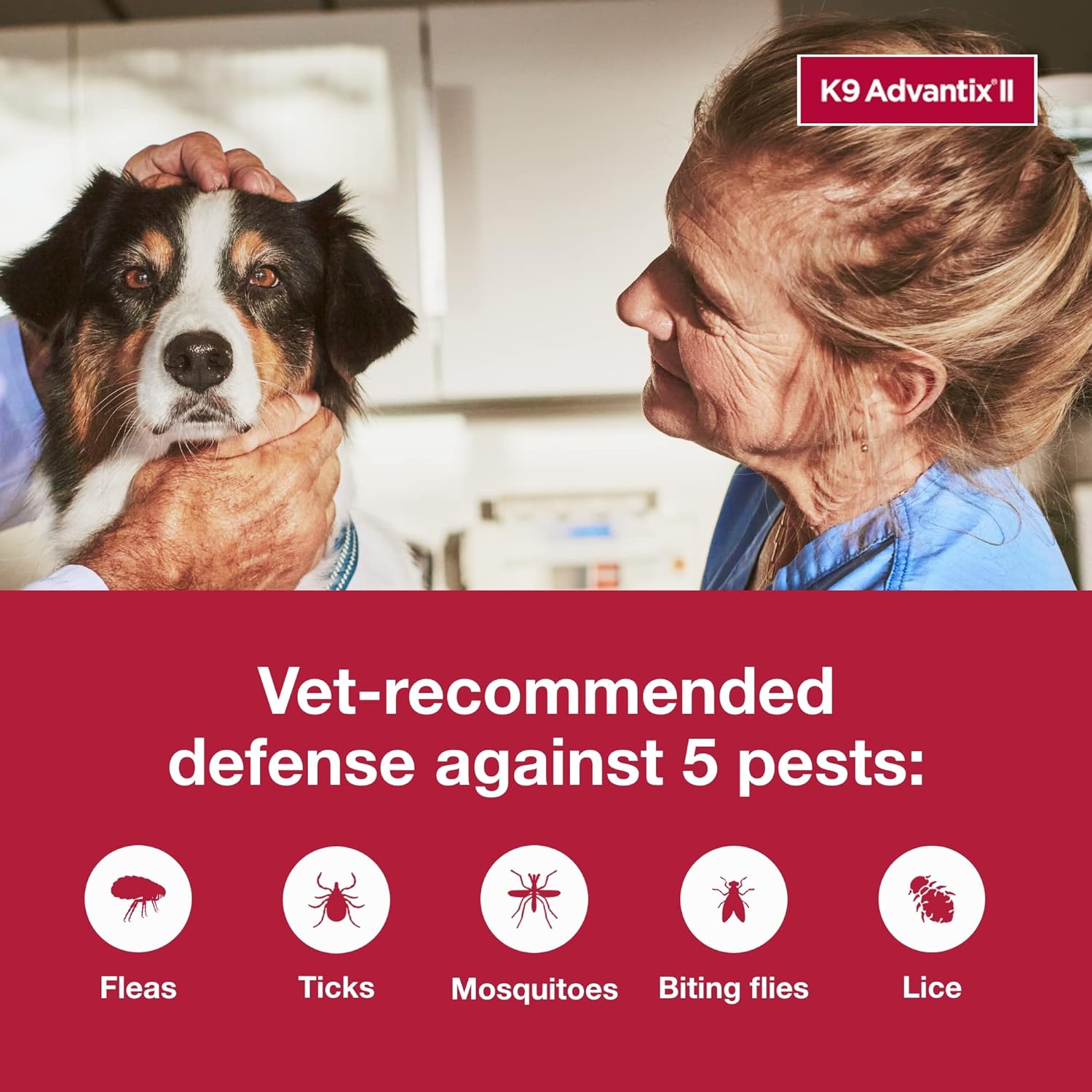 K9 Advantix II Large Dog Vet-Recommended Flea, Tick & Mosquito Treatment & Prevention | Dogs 21 - 55 lbs. | 4-Mo Supply : Everything Else