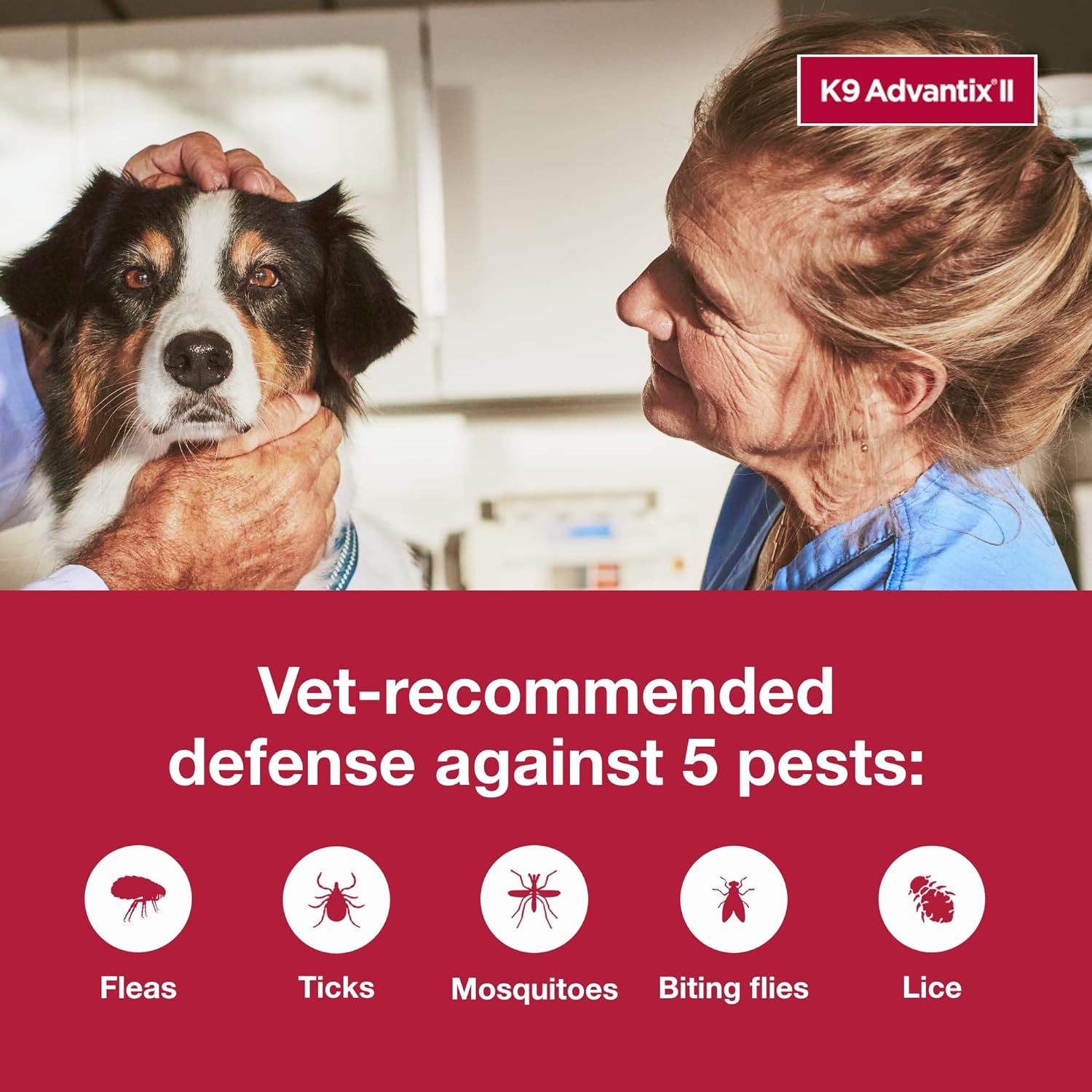 K9 Advantix II Large Dog Vet-Recommended Flea, Tick & Mosquito Treatment & Prevention | Dogs 21-55 lbs. | 2-Mo Supply : Pet Food Experts United Pacific Pet