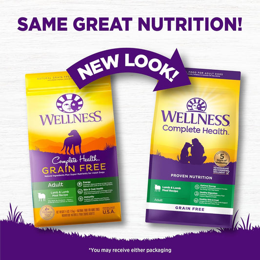 Wellness Complete Health Grain Free Adult Dry Dog Food, Lamb & Lamb Meal Recipe, 22 Pound Bag