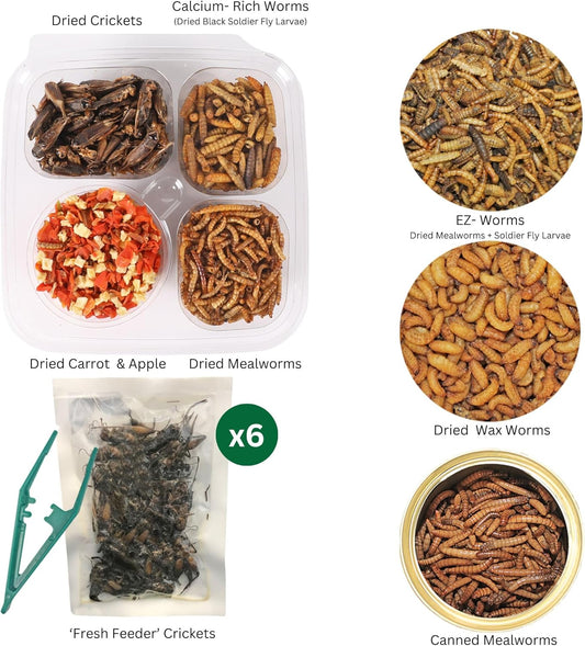 Exotic Nutrition Hedgehog Treat Sampler - Healthy Natural Treat Variety Pack - High Protein Insect Variety Pack For Pet Hedgehogs