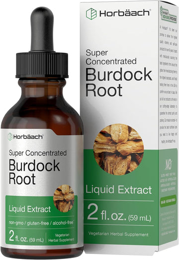 Horbäach Burdock Root Tincture | 2 Fl Oz | Super Concentrated Herb Extract | Vegetarian, Non-Gmo, Glutren Free, Alcohol Free