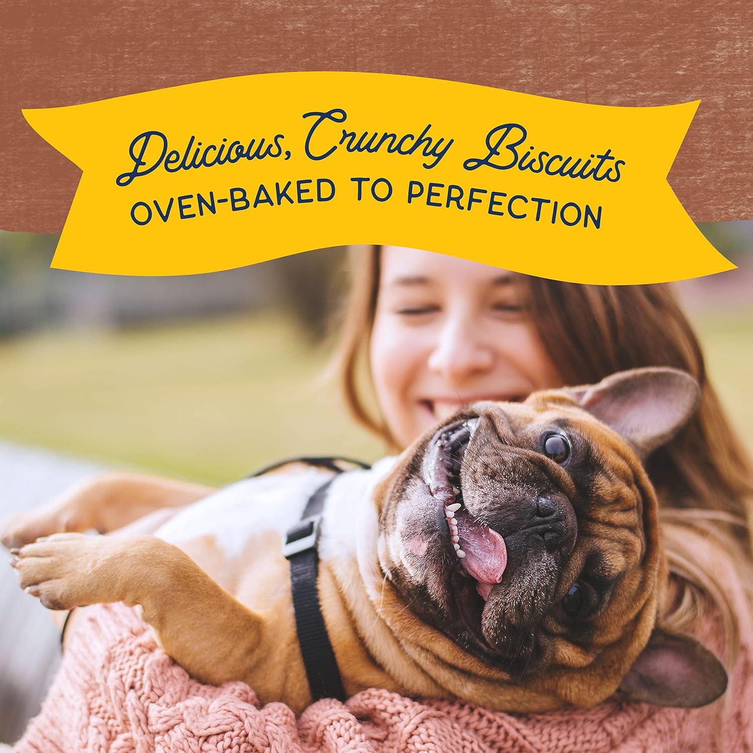 Natural Balance Limited Ingredient Rewards Crunchy Biscuits, Dog Treats with Healthy Grains for Adult Dogs of All Breeds, Beef Recipe, 14 Ounce (Pack of 1) : Pet Supplies