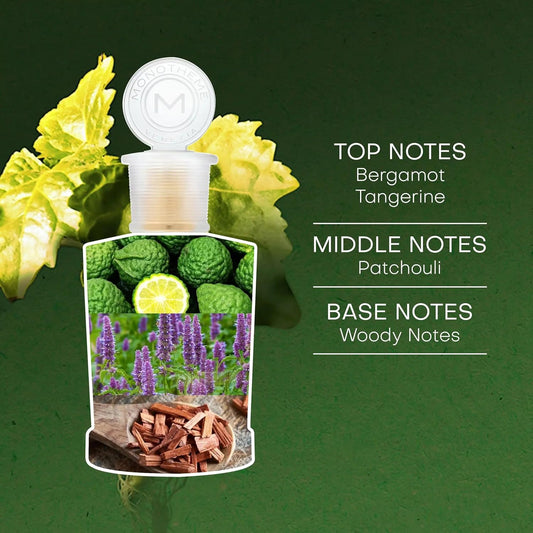 Patchouly Leaves Edt Perfume For Men - Woody Fragrance With Notes Of Patchouli, Bergamot & Citrus - Long-Lasting Luxury Fragrance - Eau De Toilette Masculine Perfume - 100 Ml, 3.4 Oz