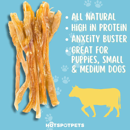 hotspot pets Beef Tendon Chews for Dogs - 8 Inch All Natural, Free-Range, Grass-Fed Premium USDA Gambrol Beef Tendon Stick Treats - Made in USA (1 Pound - Pack of 1)