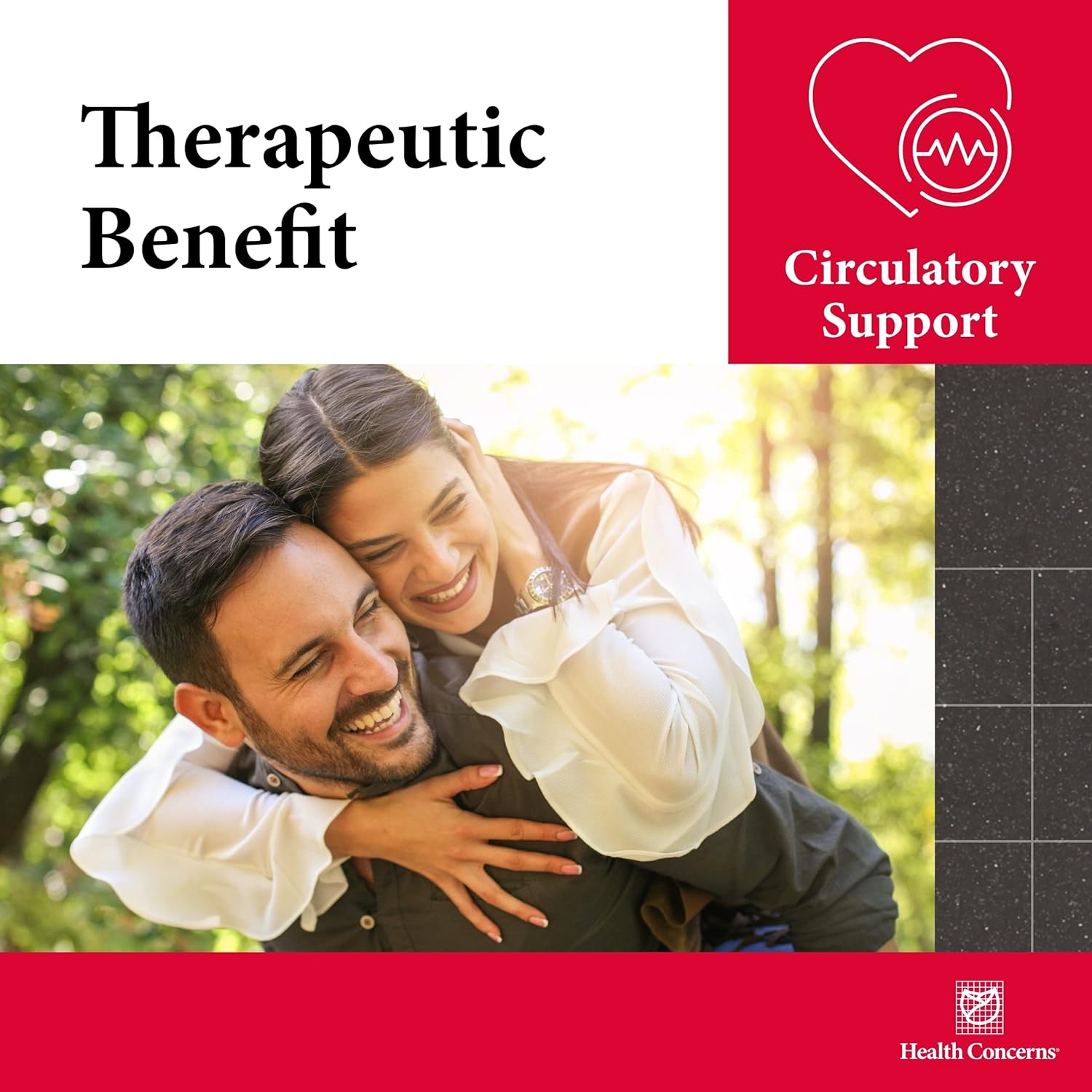 Health Concerns Flavonex - Natural Blood Circulation & Brain Health Supplements - 90 Capsules : Health & Household