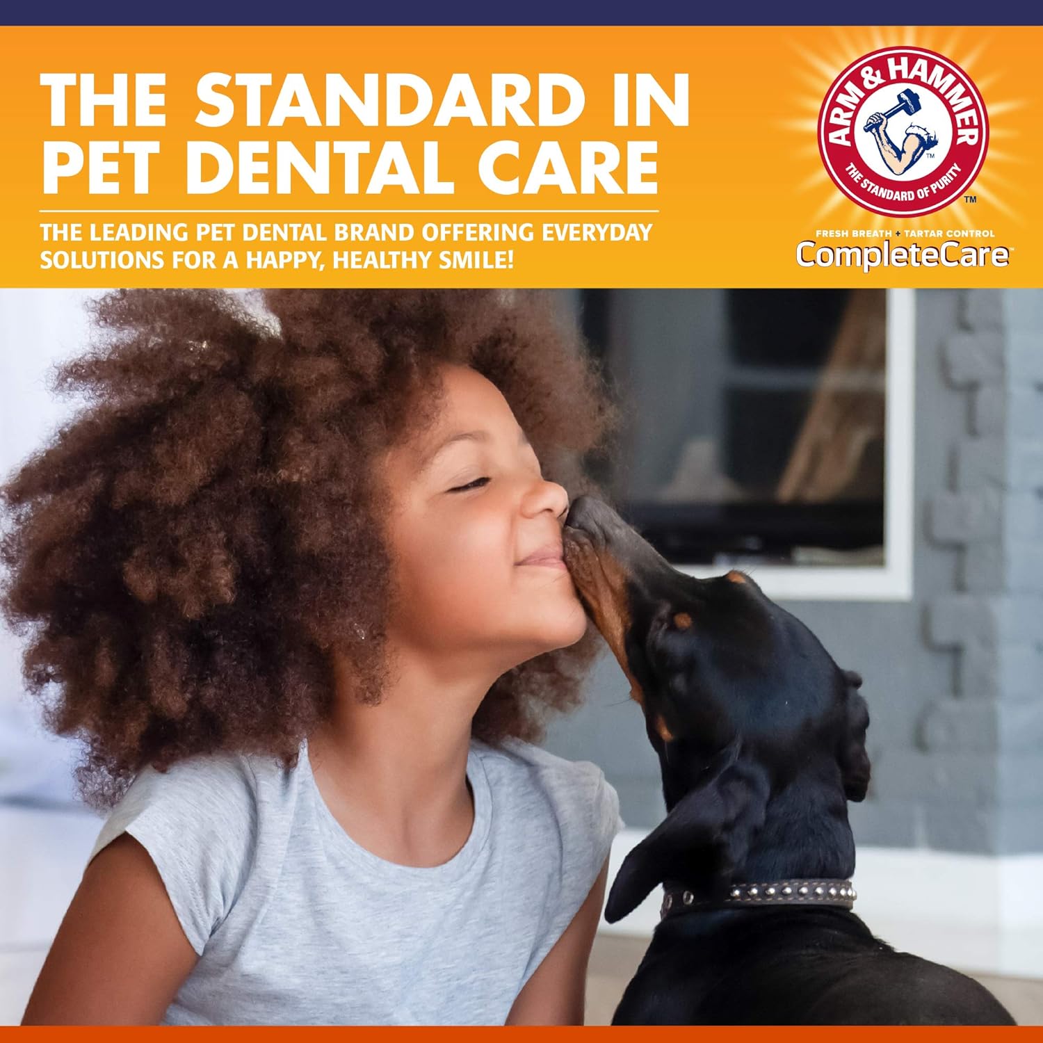 Arm & Hammer Complete Care Fresh Dental Water Additive for Dogs, 16 Fl Oz - Flavorless Dog Water Additive, Dog Mouth Wash, Dog Dental Rinse, PetWater Additive, Pets Dental Care for Bad Breath : Pet Supplies
