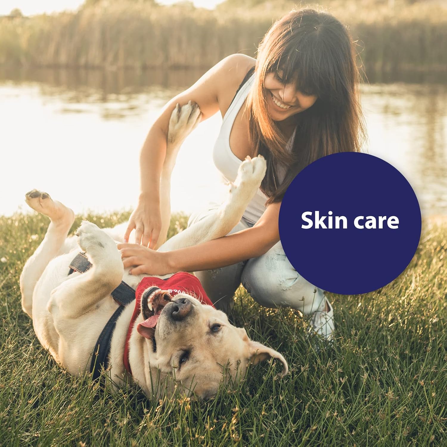 Canosept Skin Care Spray for Dogs 250ml - Regenerates and nourishes the skin - natural and particularly mild - Also suitable for long coat :Pet Supplies