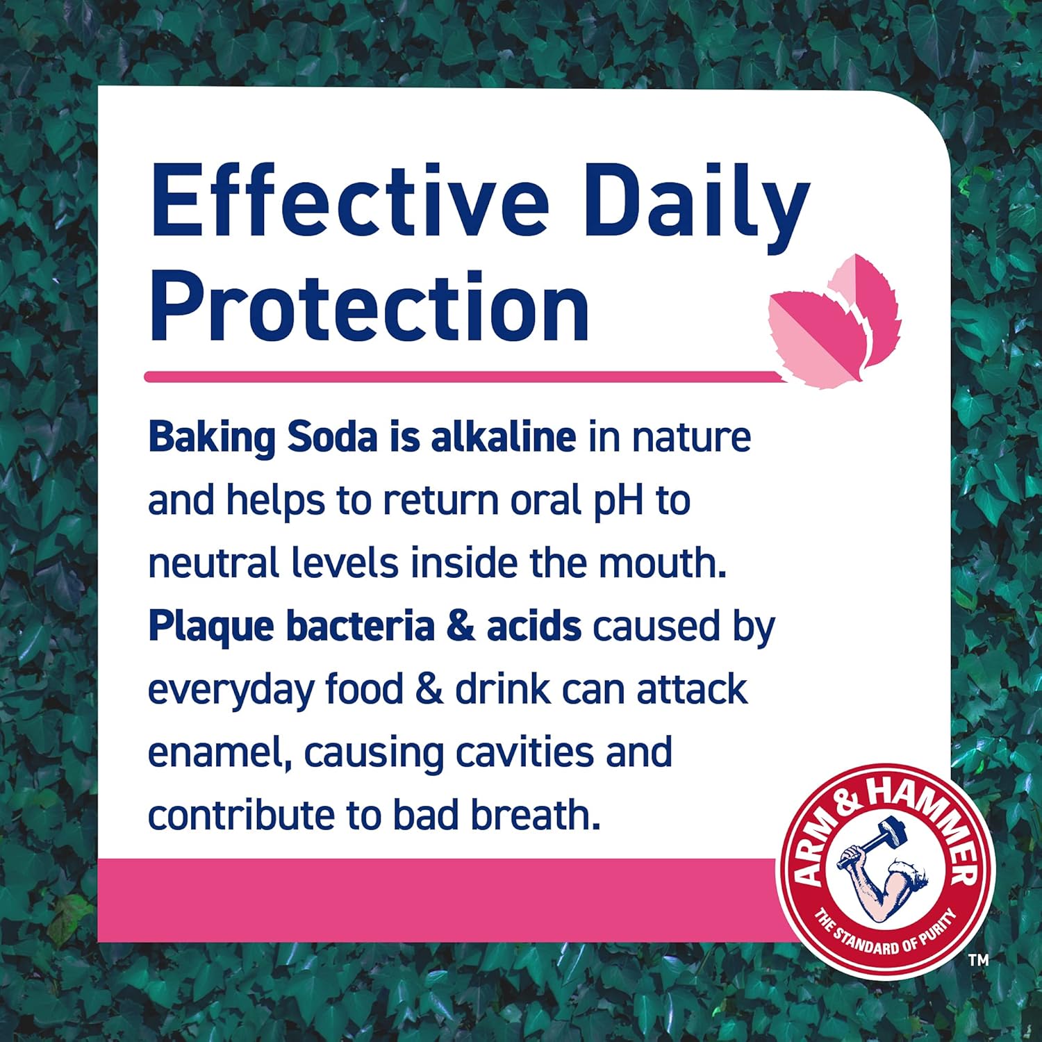 Arm & Hammer 100% Natural Baking Soda Gum Protection Toothpaste, 75ml (Pack of 2)