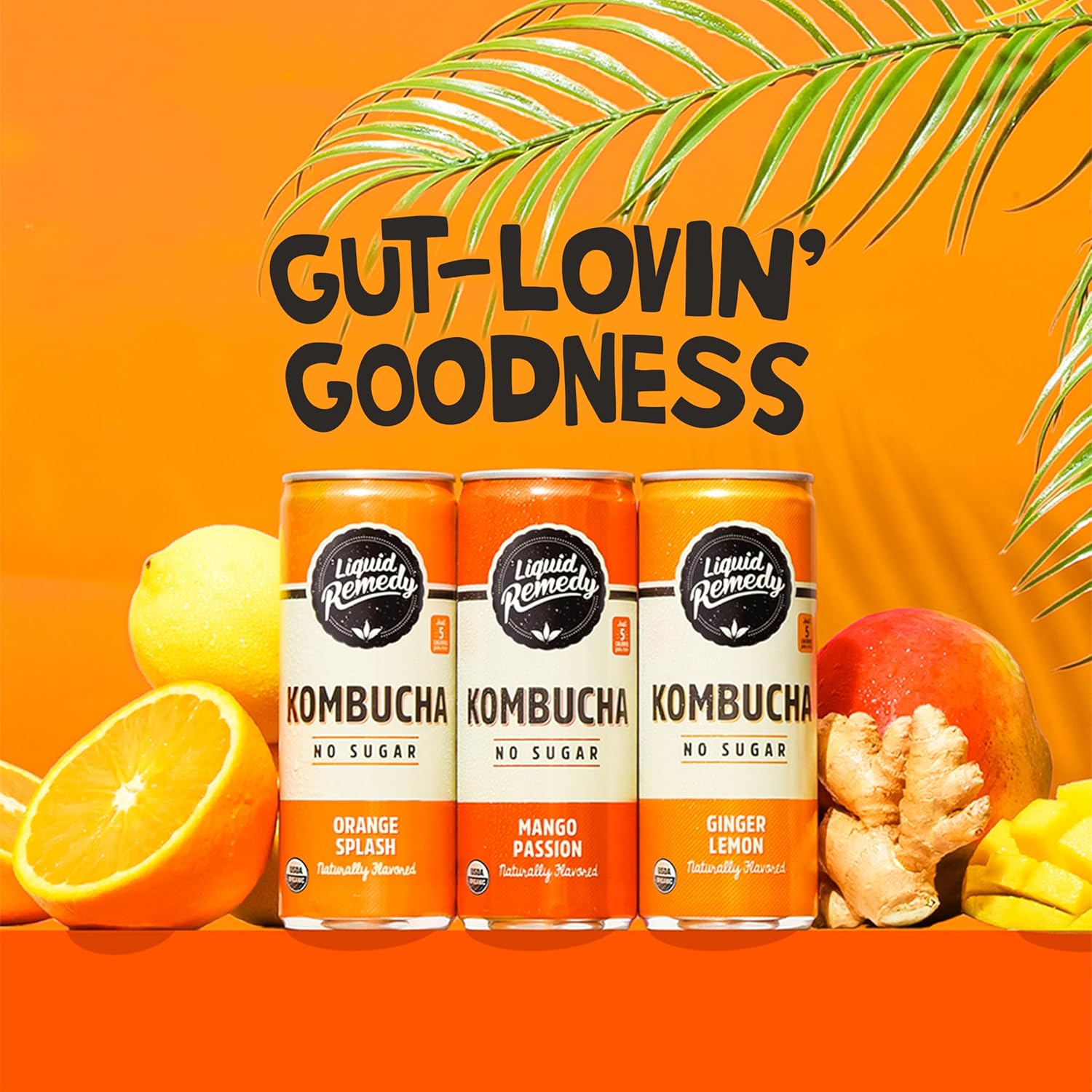 Liquid Remedy Kombucha Sugar Free Organic Drink, Low Calorie, Probiotic Like Tea For Gut Health - Tropical Trio Variety Pack- 8.5 Fl Oz Can, 12-Pack
