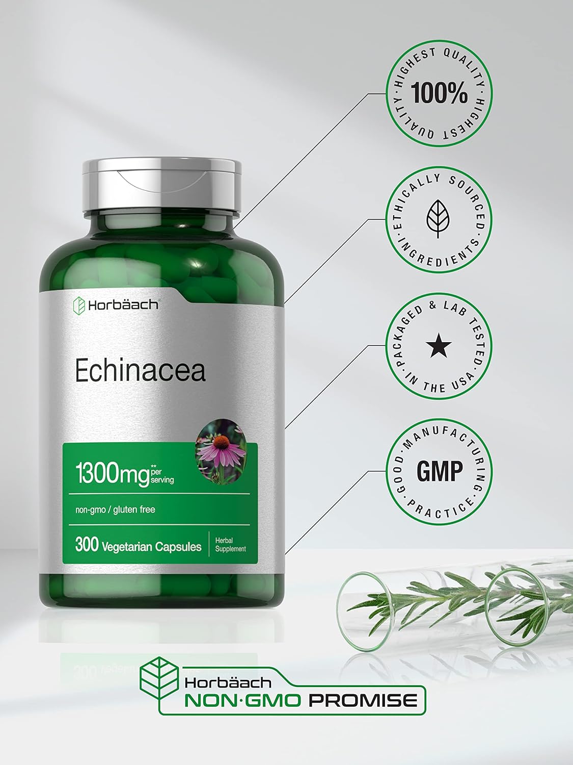 Horbäach Echinacea Extract Capsules 1300mg | 300 Count | Vegan, Non-GMO, Gluten Free Supplement : Health & Household