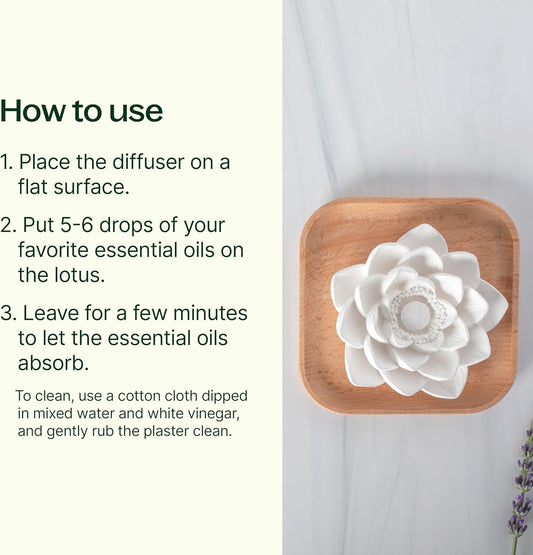 Plant Therapy Passive Lotus Flower Aromatherapy Diffuser - A Chic And Natural Home, Office, And Travel Essential Oil Diffuser