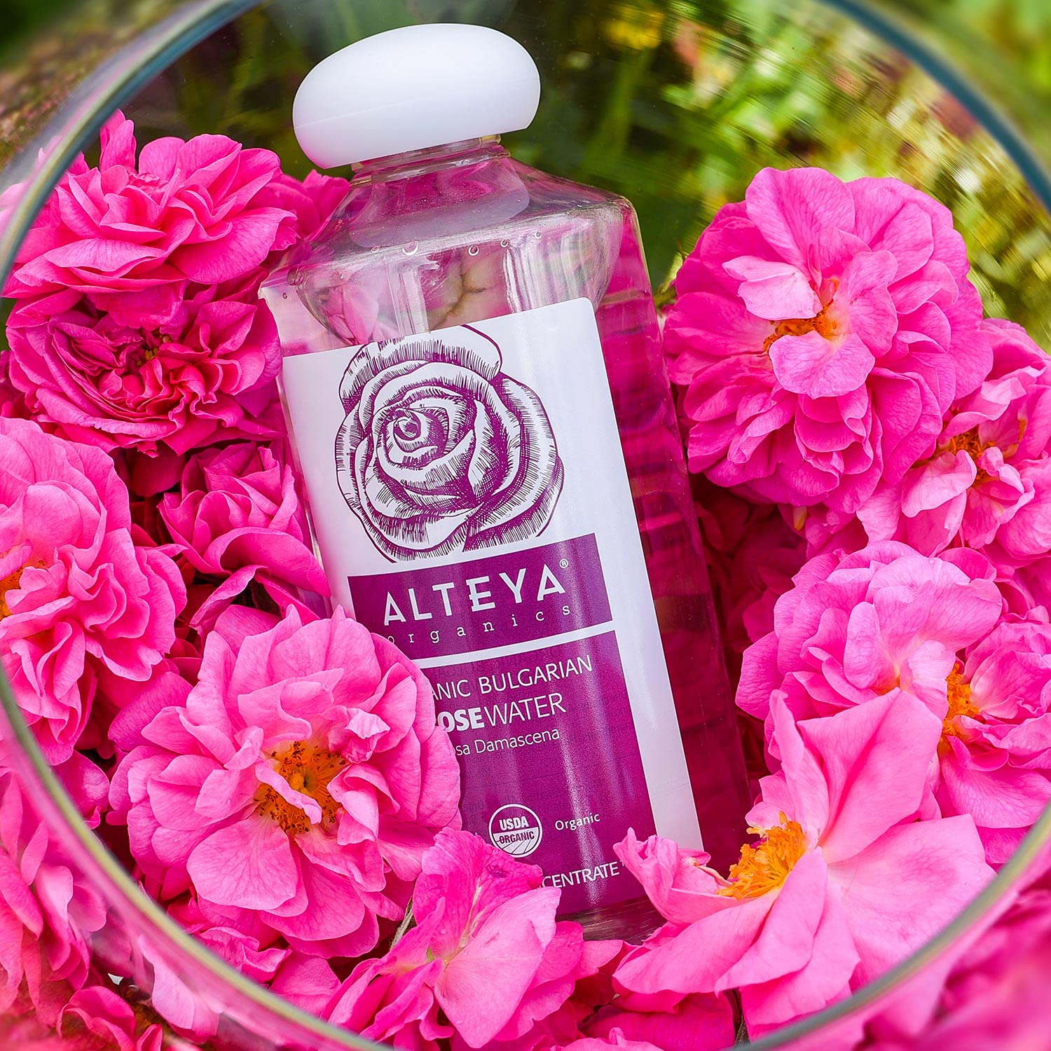 Alteya Organics Rose Water Usda Certified Organic Facial Toner, 8.5 Fl Oz/250Ml Pure Bulgarian Rosa Damascena Flower Water, Award-Winning Moisturizer Bpa-Free Bottle With Reducer : Grocery & Gourmet Food