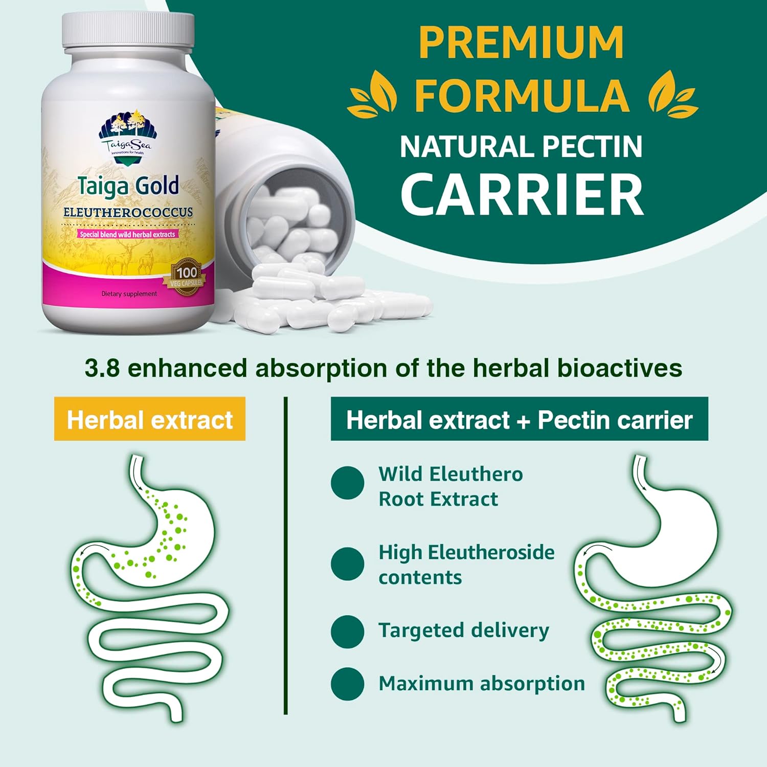 TAIGASEA Wild Eleuthero Root Extract, Herbal Extract Blend with Eleutherococcus for Immunity and Physical Shape, Stamina and Endurance, 100 Vegeterian Capsules : Health & Household