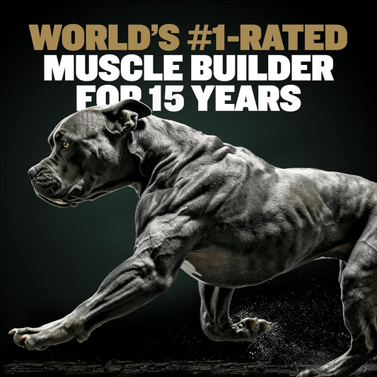 Bully Max 11-In-1 Muscle Gain Power Chews - High Protein Dog Food Health Supplement For Puppy And Adult Dogs | Premium Muscle Builder For All Breeds With Natural Ingredients - 75 Tasty Soft Dog Chews