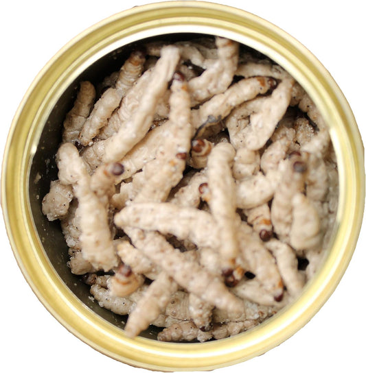 Canned Caterpillars (1.2 Oz. 6 Pack) - Healthy High Protein Insect Treat - Hedgehogs, Sugar Gliders, Reptiles, Wild Birds, Chickens, Lizards, Bearded Dragons, Skunks, Opossums, Fish, Amphibians