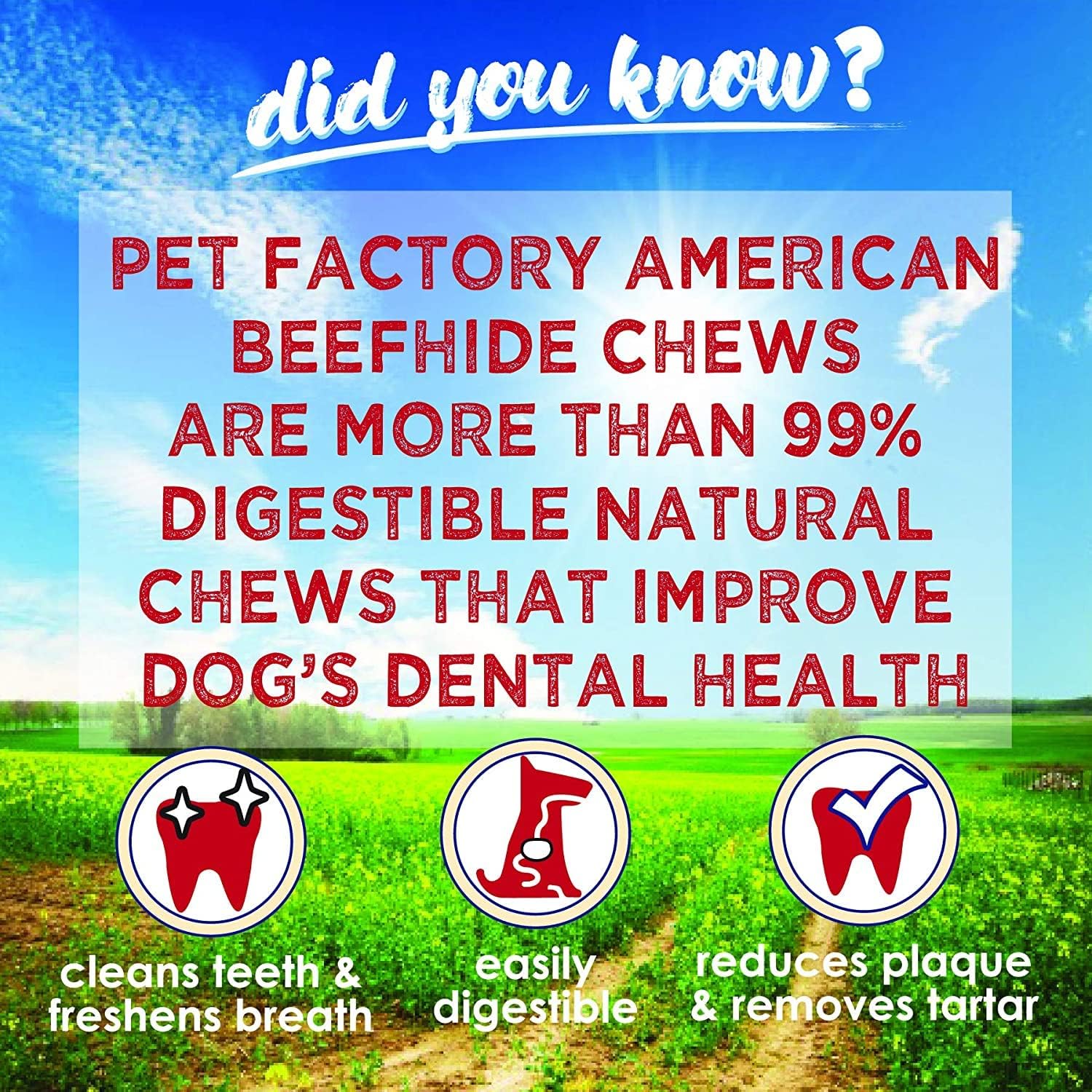 Pet Factory American Beefhide 5" Twist Sticks Dog Chew Treats - Chicken Flavor, 1 lb : Pet Supplies