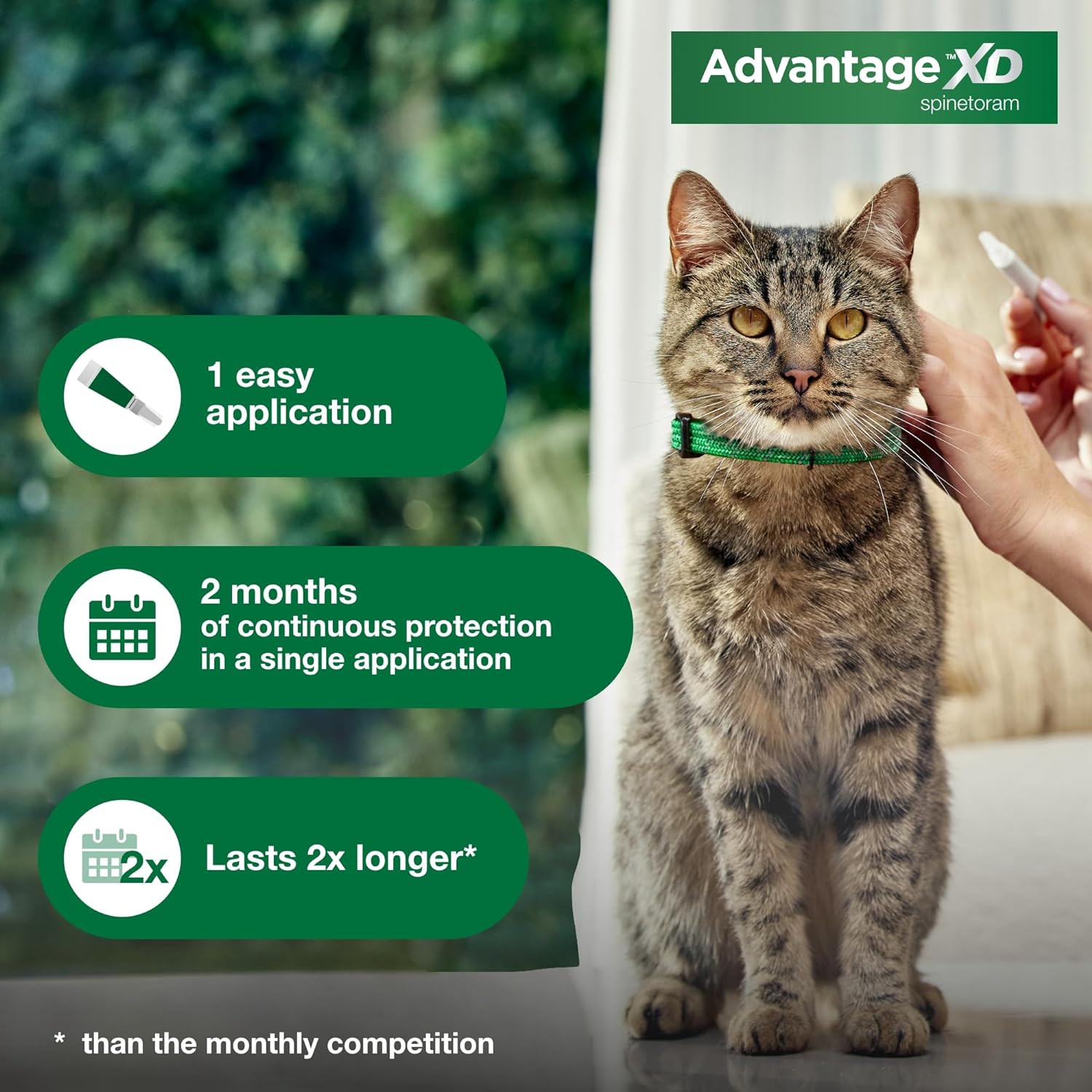 Advantage XD Small Cat Flea Prevention & Treatment For Cats 1.8-9lbs. | 1-Topical Dose, 2-Months of Protection Per Dose : Pet Supplies