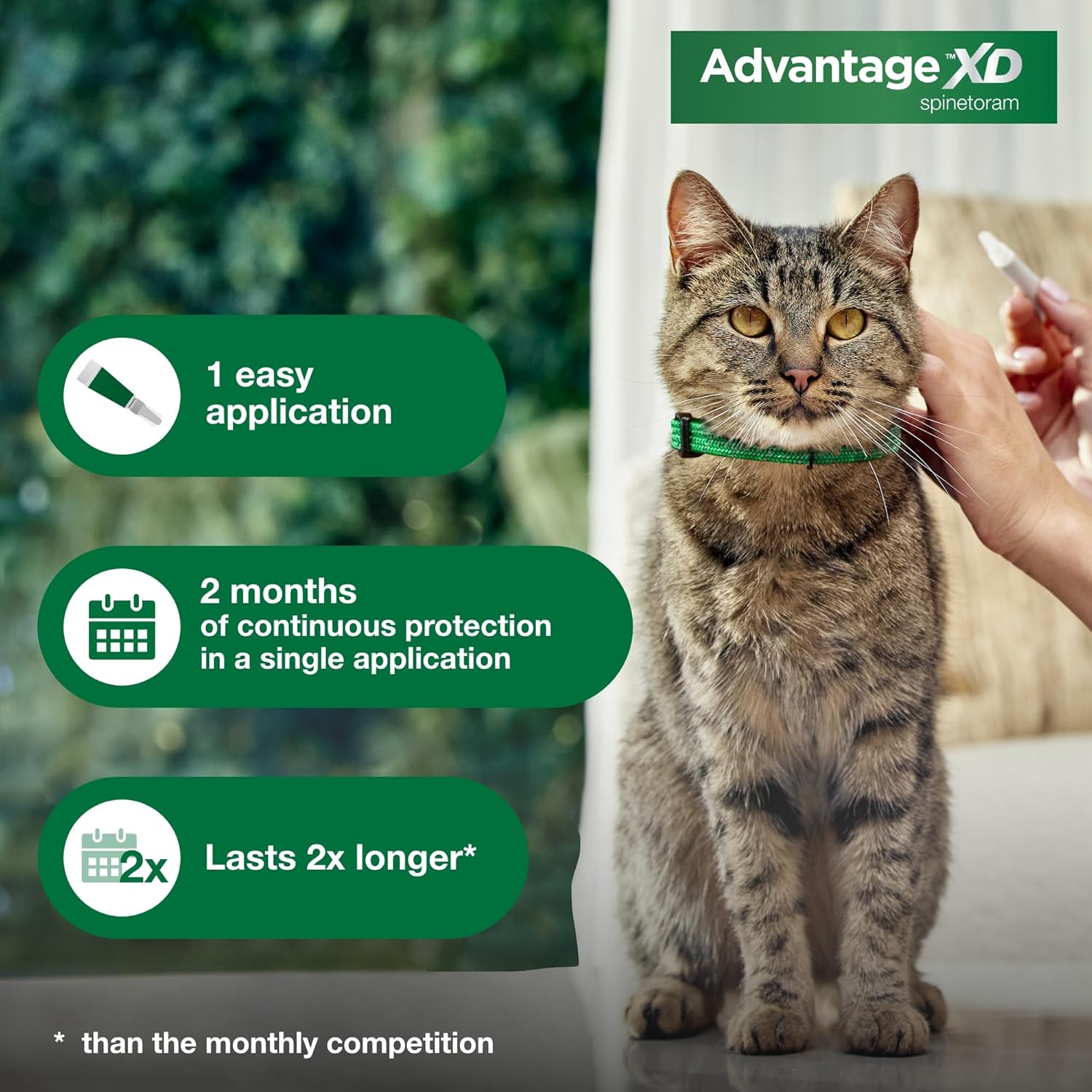 Advantage XD Small Cat Flea Prevention & Treatment For Cats 1.8-9lbs. | 4-Topical Doses, 2-Months of Protection Per Dose : Pet Supplies