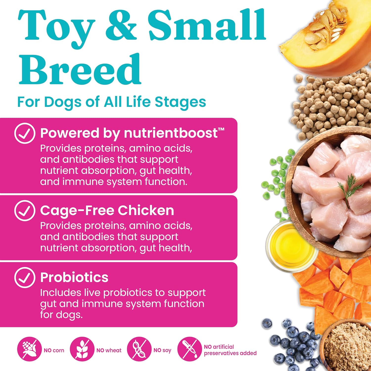 Solid Gold Nutrientboost Mighty Mini Small Breed Dog Food - Dry Dog Food Made with Real Chicken for Any Toy Breed - Grain & Gluten Free Recipe for Gut Health & Sensitive Stomach Support - 11 LB Bag : Pet Supplies