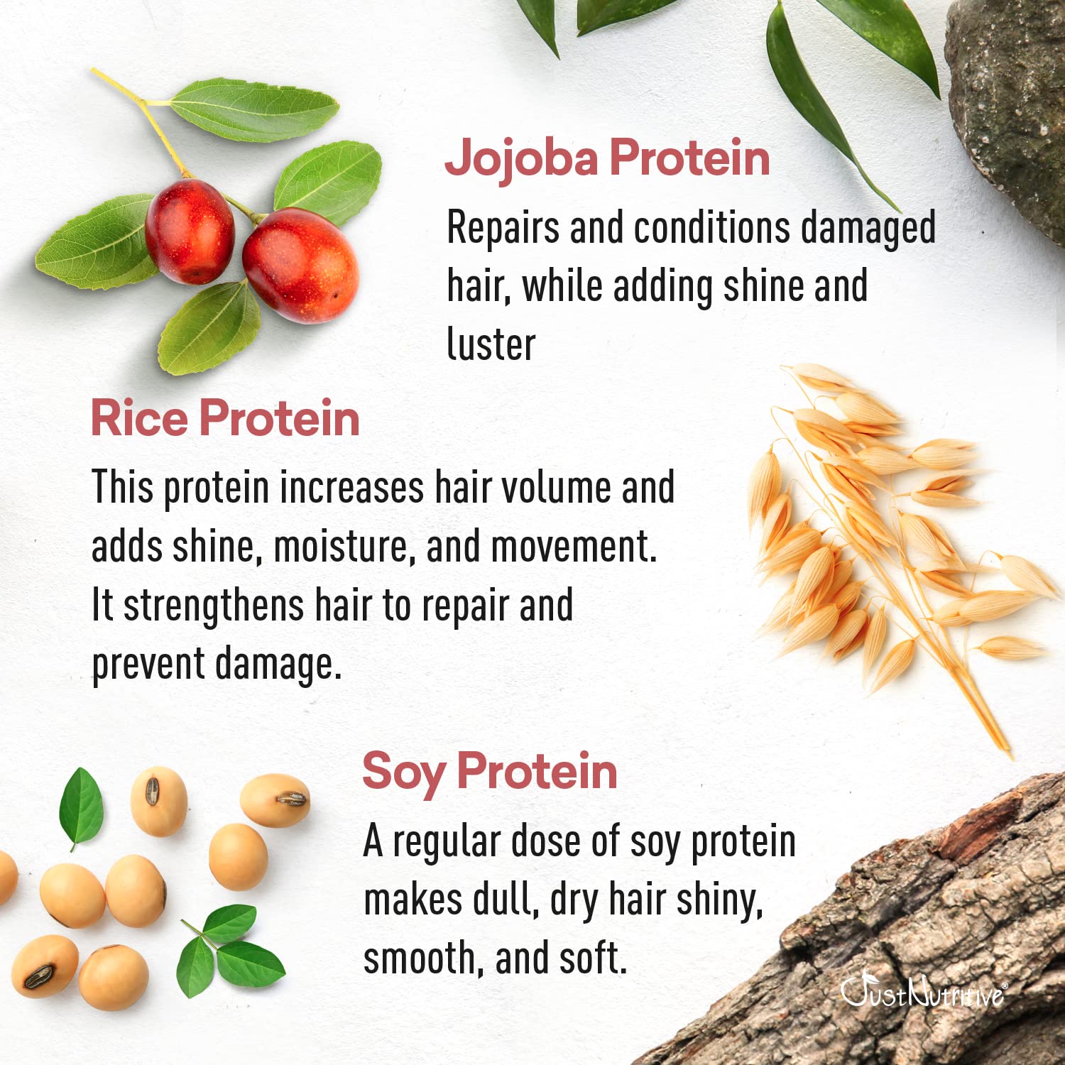 Protein & Vitamin Hair Treatment | Hair Growth & Thickening Solution | Hair Loss Prevention For Men And Women | Nourishing Treatment For Dry, Damaged Hair | Just Nutritive 4 Oz : Beauty & Personal Care