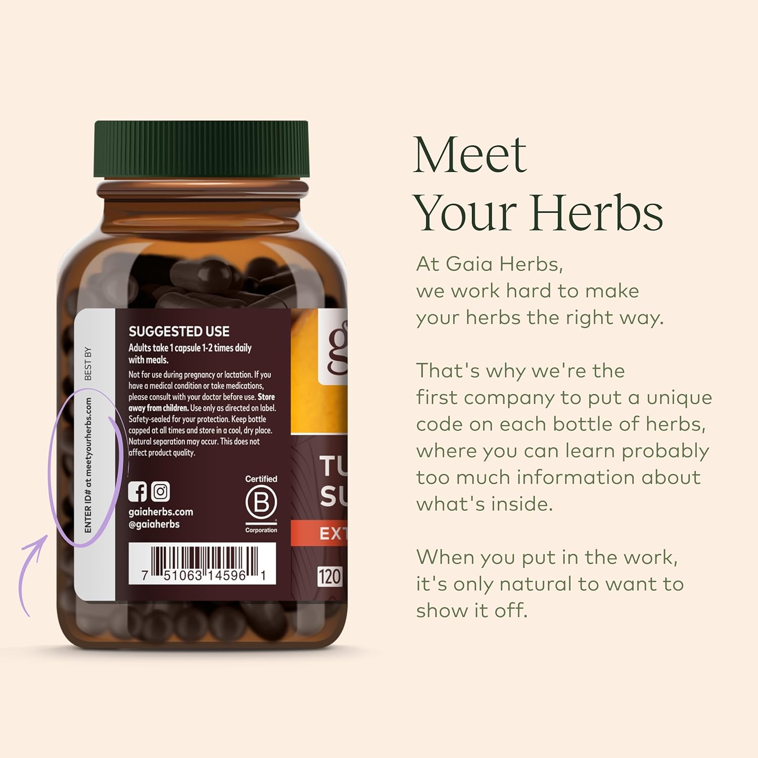 Gaia Herbs Pro Holy Basil Leaf - Stress Support Supplement with Holy Basil - Herbal Supplements to Support a Positive Mindset - 60 Liquid Phyto-Caps : Health & Household