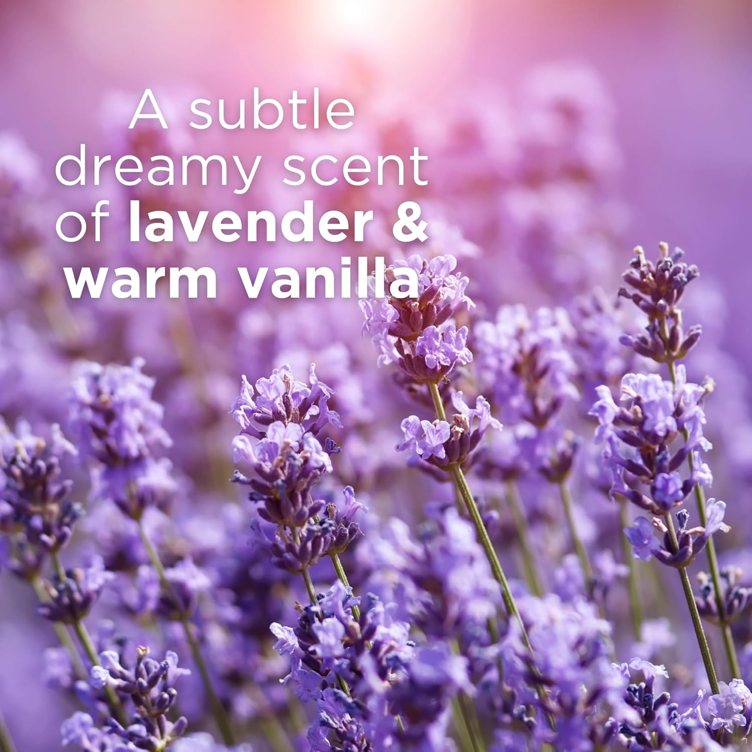 Andalou Naturals Body Butter, Lavender Firming Cream,8 Oz, Shea Butter, Cocoa Butter & Primrose Oil, Body Moisturizer For Dry Skin, Vegan : Body Skin Food : Beauty & Personal Care