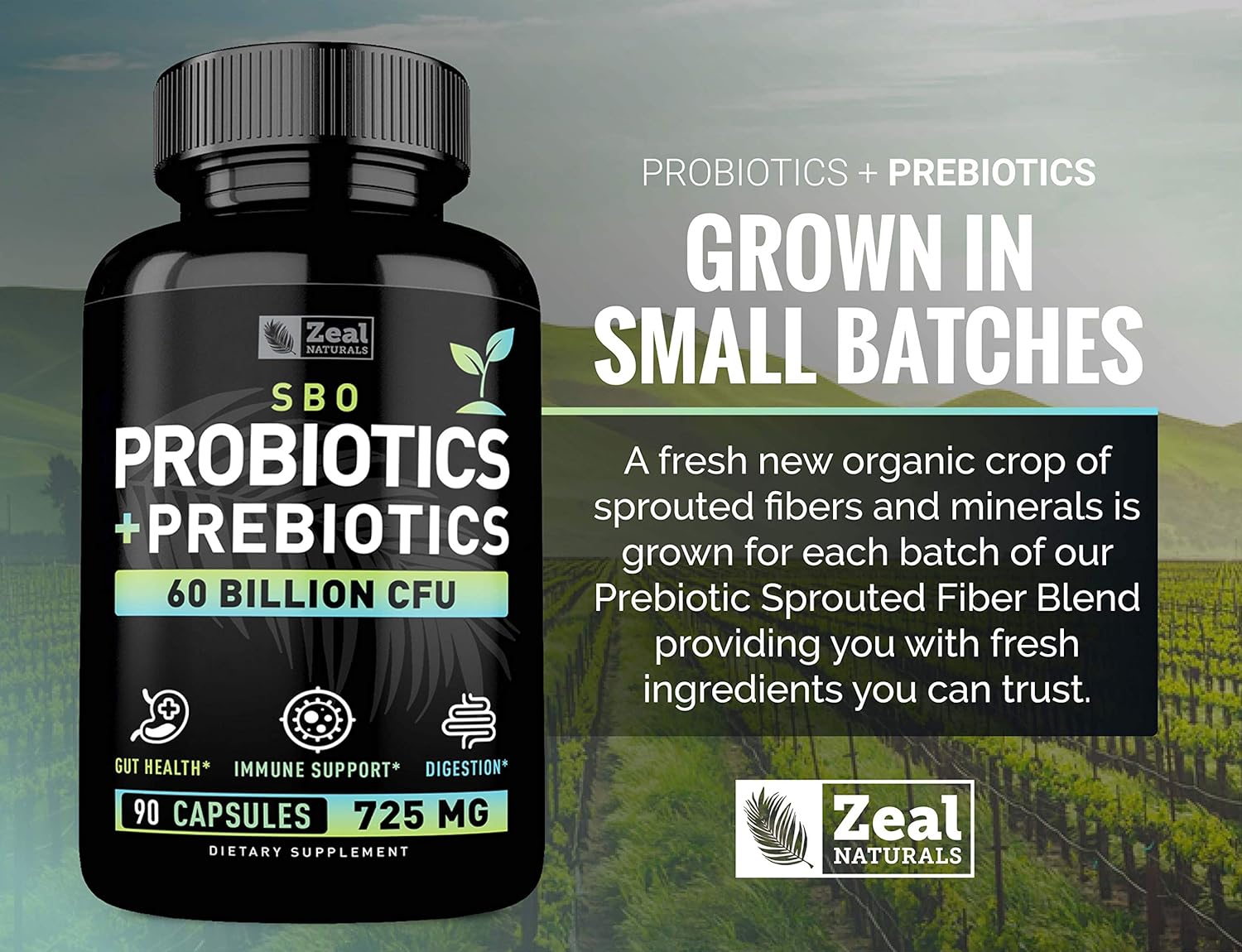 Probiotics and Prebiotics + SBO Probiotics (60 Billion CFU | 90 Capsules) Acidophilus Probiotic w. Saccharomyces Boulardii, Bifidobacterium + Spore Probiotic & Organic Sprouted Prebiotic Fiber Blend : Health & Household