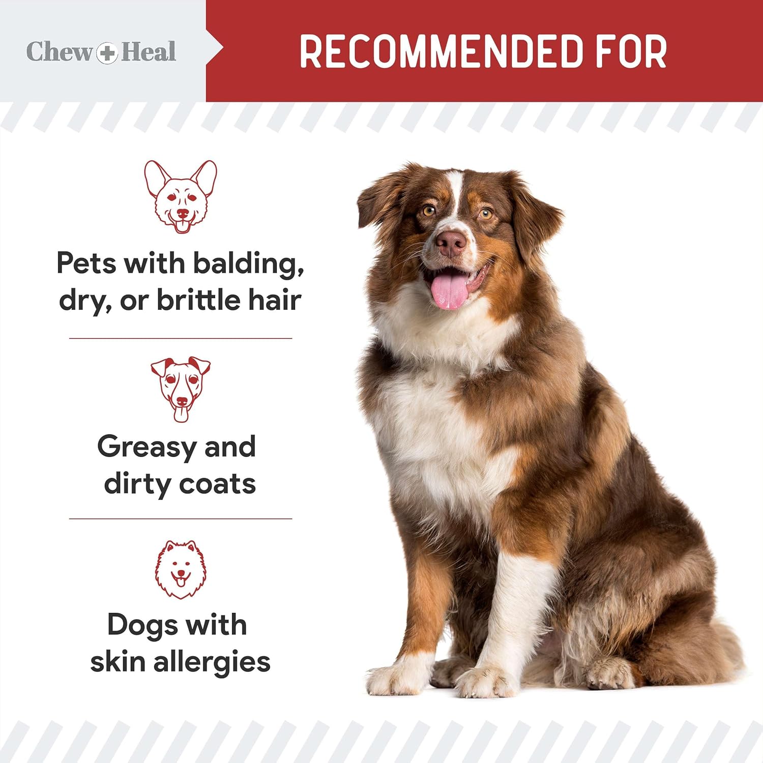 Omega for Dogs - 180 Delicious Soft Chews - Salmon Oil Treats for Skin and Coat, Itch Relief - Fish Oil Blend of Essential Fatty Acids, Omega 3, 6, and 9, and Vitamins - Smoked Bacon Flavor : Pet Supplies