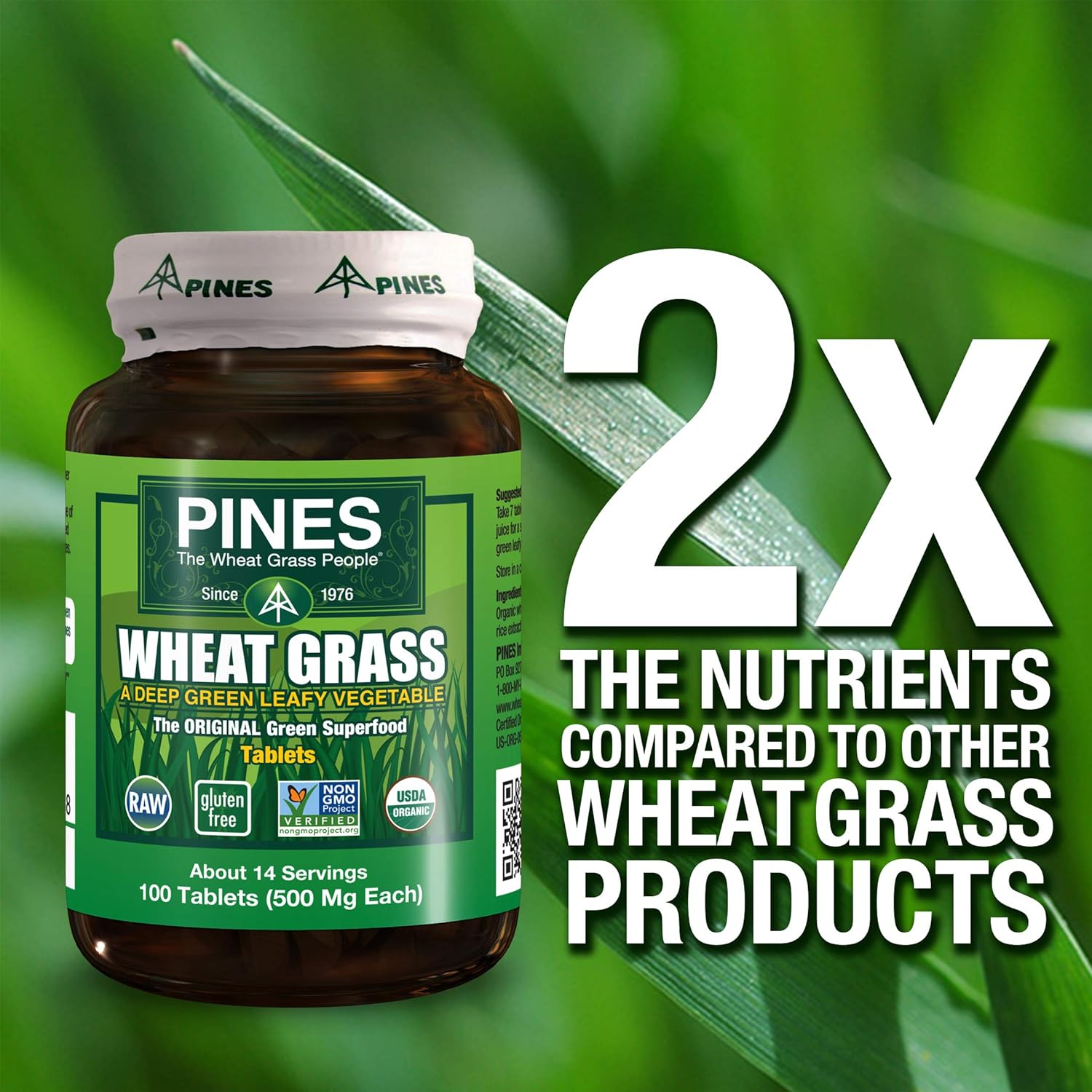 Pines International Wheat Grass Powder, 3.5 Ounce : Grocery & Gourmet Food
