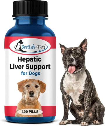 BestLife4Pets Hepatic Dog Liver Support - Dissolvable Homeopathic Liver and Digestive Canine Supplement for Liver Detox and Nutrient Absorption - 100% All Natural - Free of Chemicals or Additives