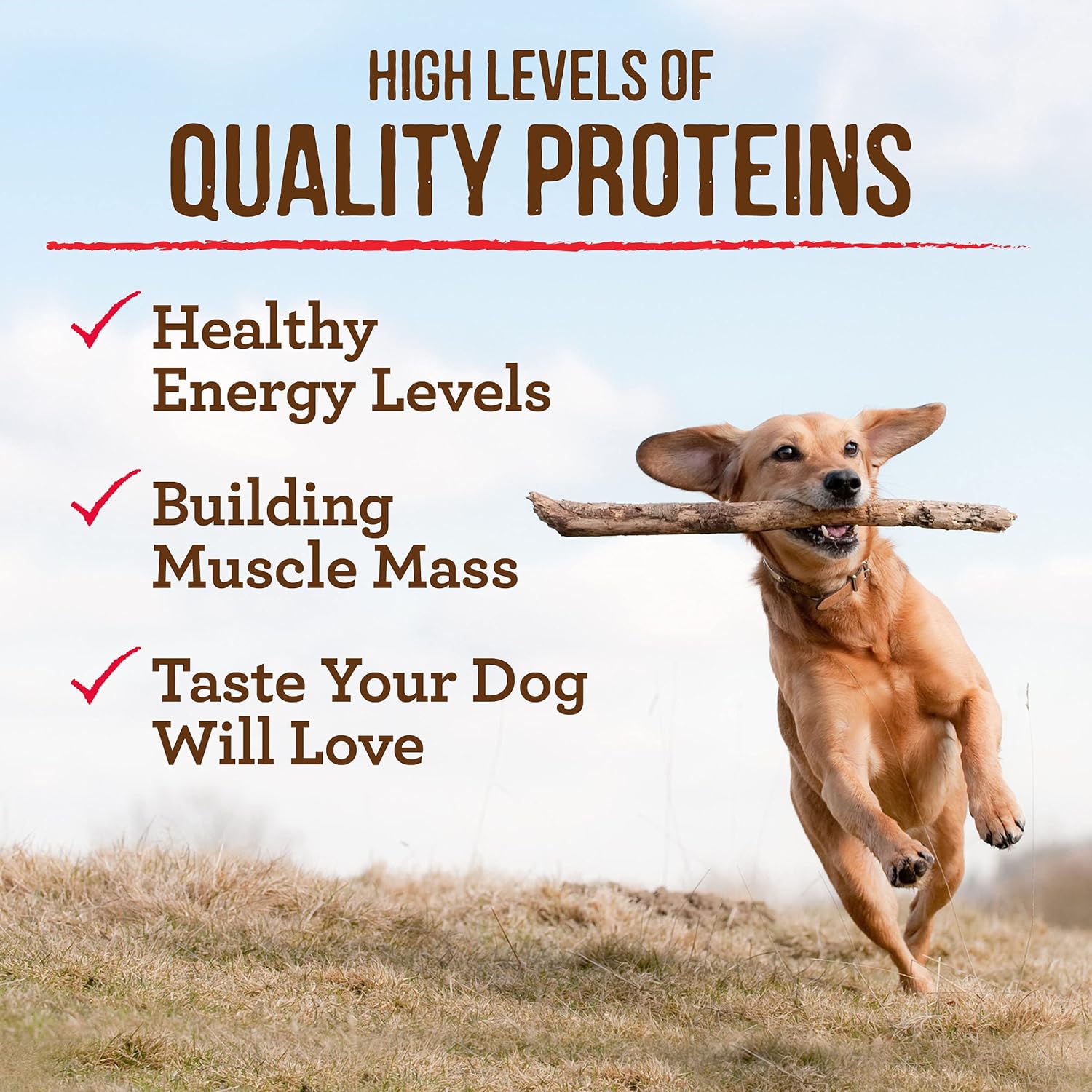 Merrick Premium Grain Free Dry Adult Dog Food, Wholesome and Natural Kibble with Real Duck and Sweet Potato - 22.0 lb. Bag : Pet Supplies