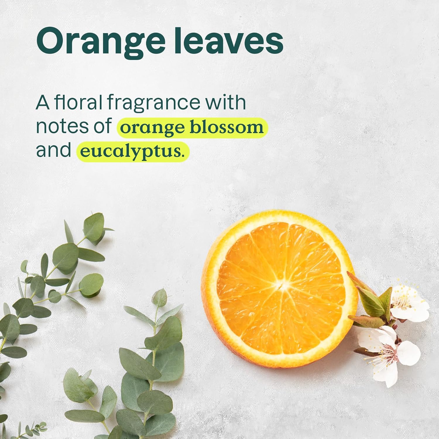 Attitude Body Wash, Ewg Verified Shower Gel, Dermatologically Tested, Plant And Mineral-Based, Vegan Personal Care Products, Orange Leaves, 32 Fl Oz : Beauty & Personal Care