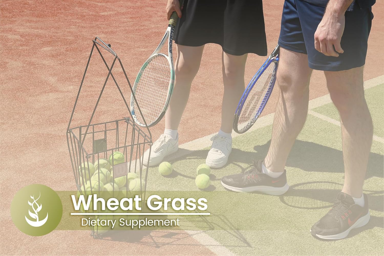 Pure Original Ingredients Wheat Grass, (100 Capsules) Always Pure, No Additives Or Fillers, Lab Verified : Health & Household