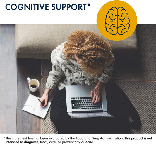 Metabolic Maintenance Brain Cell Support - Nootropic Supplement to Boost Memory & Focus - Acetyl L-Carnitine + DMAE for Balanced Mood and Brain Support (60 Capsules)