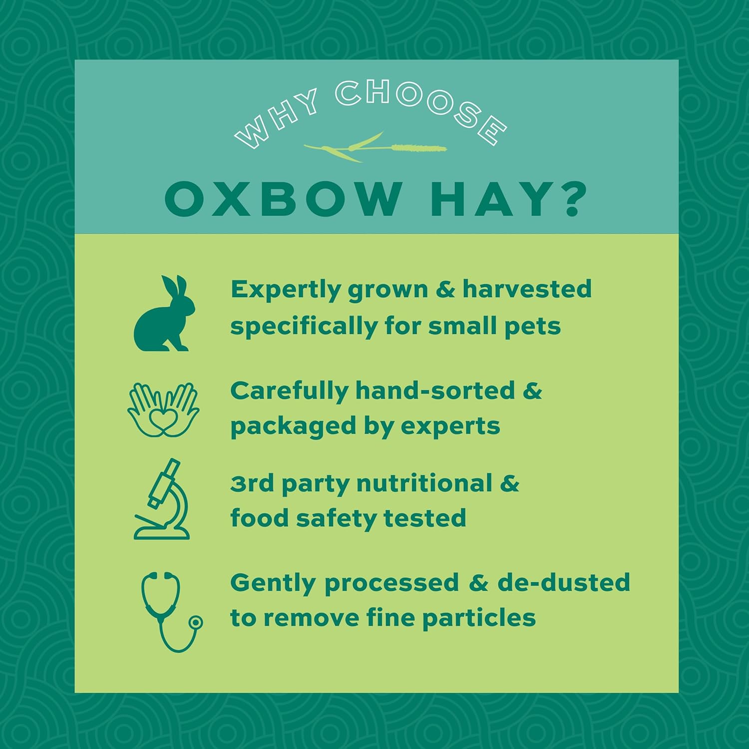 Oxbow Animal Health Orchard Grass Hay - All Natural Grass Hay for Chinchillas, Rabbits, Guinea Pigs, Hamsters, Gerbils & Other Small Pets - Fiber Rich- Grown in the USA- 9 lb