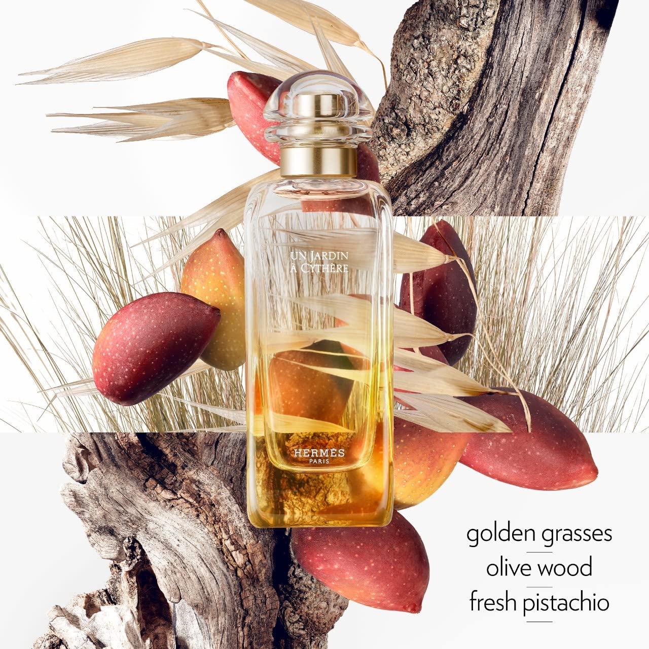 Hermés Un Jardin Sur Le Toit For Unisex Eau De Toilette Spray, 1.6 Ounce : Personal Fragrances : Beauty & Personal Care