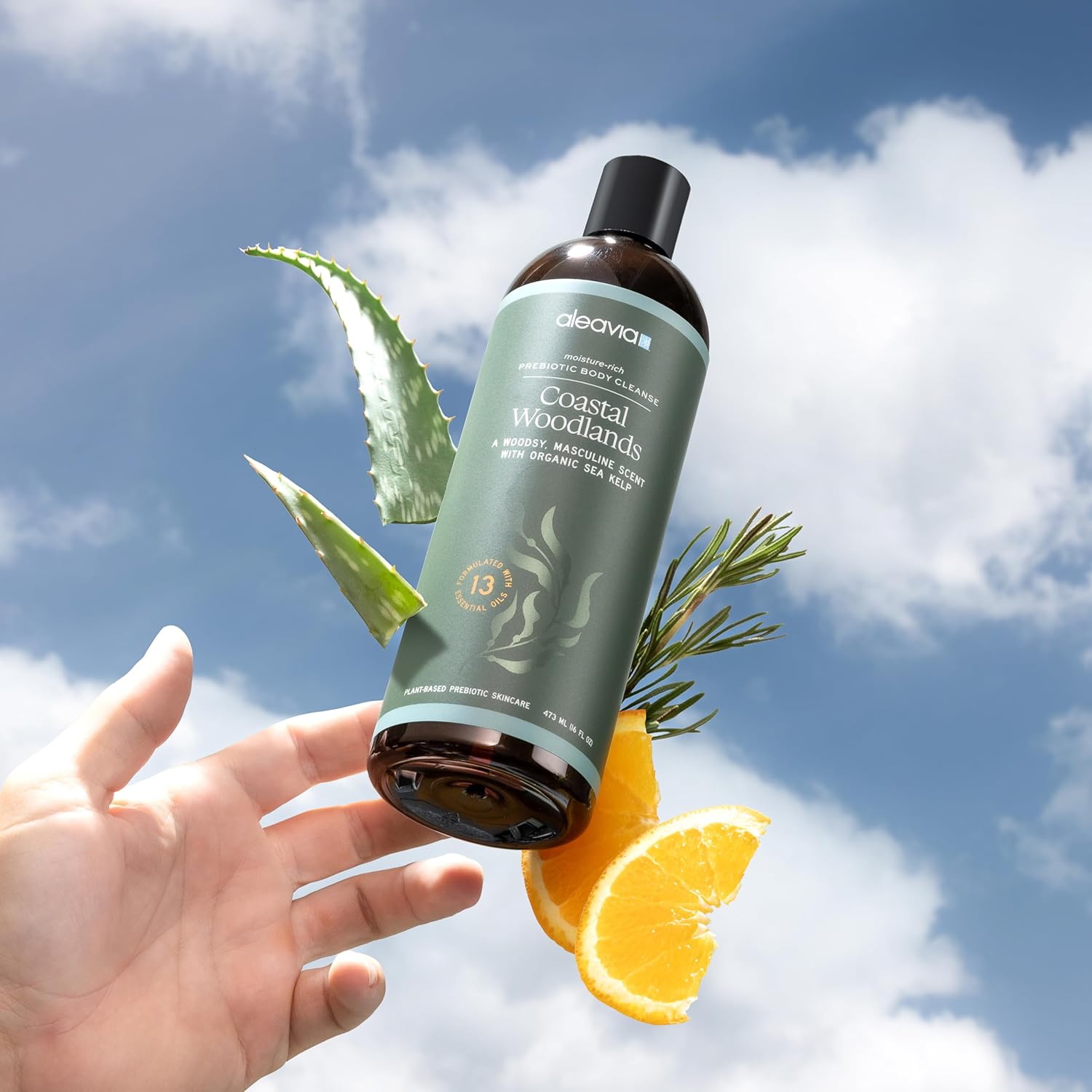 Aleavia Coastal Woodlands Mens Body Cleanse – Organic & All-Natural Prebiotic Body Wash For Men, Woodsy Notes Scented With 13 Essential Oils, – Nourish Your Skin Microbiome – 16 Oz. : Beauty & Personal Care