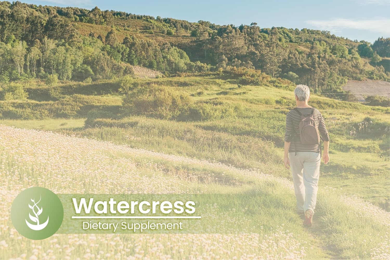 Pure Original Ingredients Watercress, (100 Capsules) Always Pure, No Additives Or Fillers, Lab Verified : Health & Household