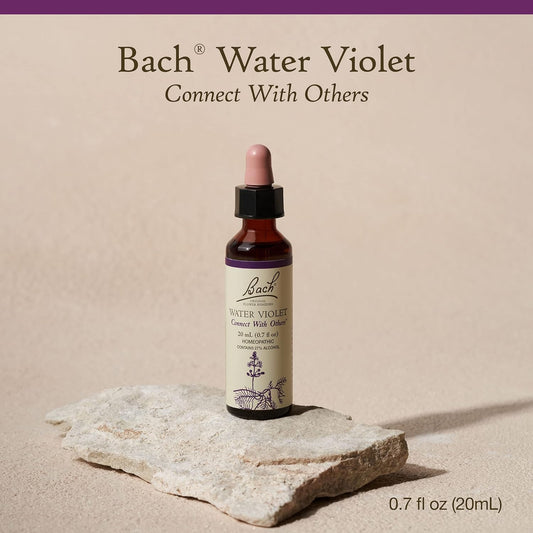 Bach Original Flower Remedies, Water Violet for Connecting with Others, Natural Homeopathic Flower Essence, Holistic Wellness and Stress Relief, Vegan, 20mL Dropper