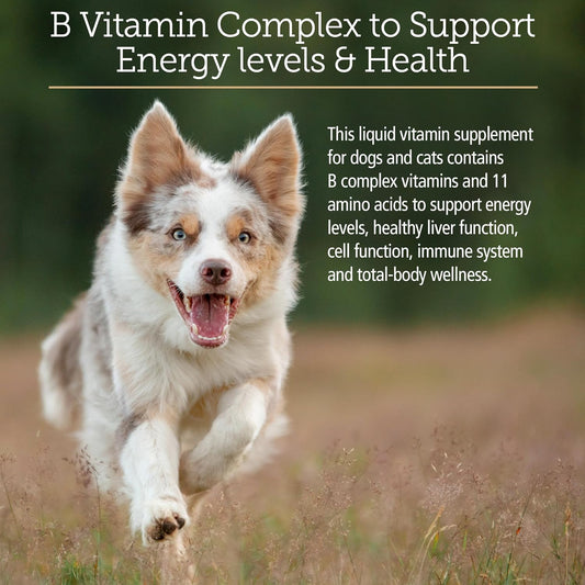 Rx Vitamins Amino B Plex Cat & Dog Supplement - Vitamin B Complex Liquid Plus Amino Acids for Dogs & Cats - Appetite Booster and Weight Gainer Cat & Dog Vitamins - 2 oz