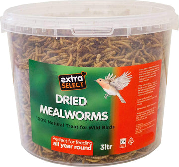 Extra Select Dried Mealworms Wild Bird Feed Treat, 3 Litre?08MW3