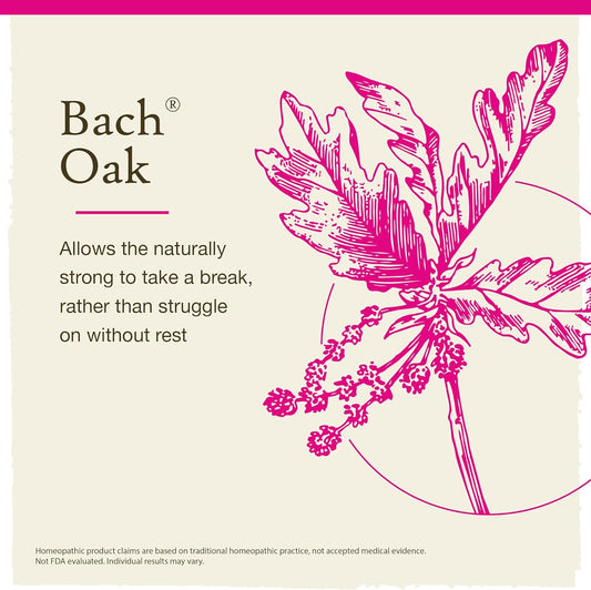 Bach Original Flower Remedies, Oak for Endurance and Strength (Non-Alcohol Formula), Natural Homeopathic Flower Essence, Holistic Wellness and Stress Relief, Vegan, 10mL Dropper