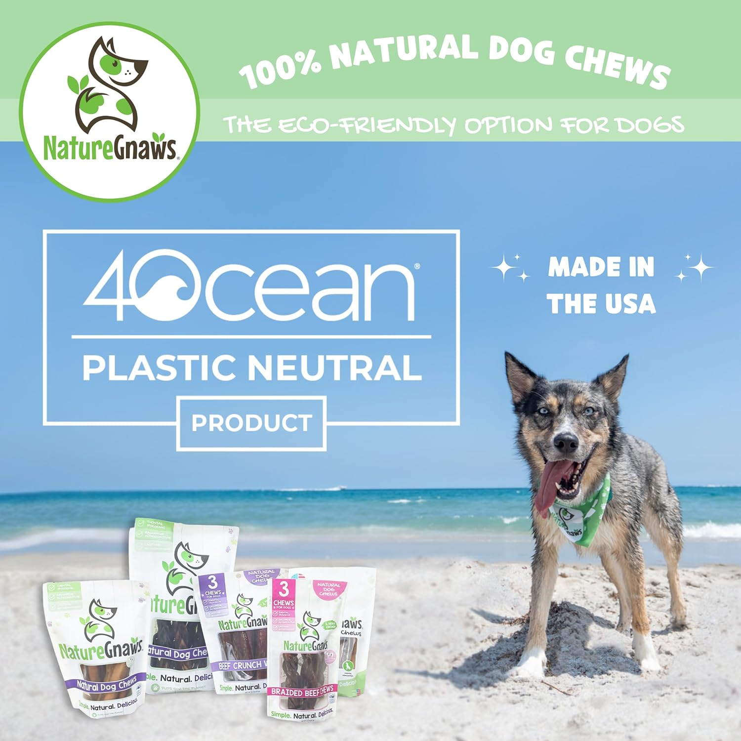 Nature Gnaws USA Crunch Chips for Dogs - Single Ingredient Natural Dog Chew Jerky Treats – Made in USA (8 oz) : Pet Supplies