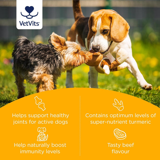 Vetvits By Healthspan Flexi-Turmeric For Dogs (120 Tablets) | Joint Support For Active Dogs | Vitamin C & Brewers’ Yeast | 400Mg High-Grade Turmeric | Easy To Crumble On Food | Pet Health