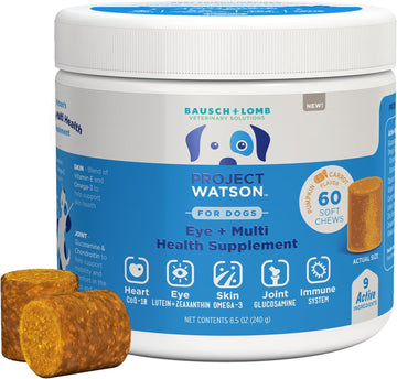 Project Watson Bausch + Lomb Dog Supplement, Helps Support Healthy Eyes, Joints, Skin & Heart, Contains Vitamin A & E, Omega-3, Lutein, Glucosamine, Chondroitin, Coenzyme Q10 and Zinc, 60 Soft Chews