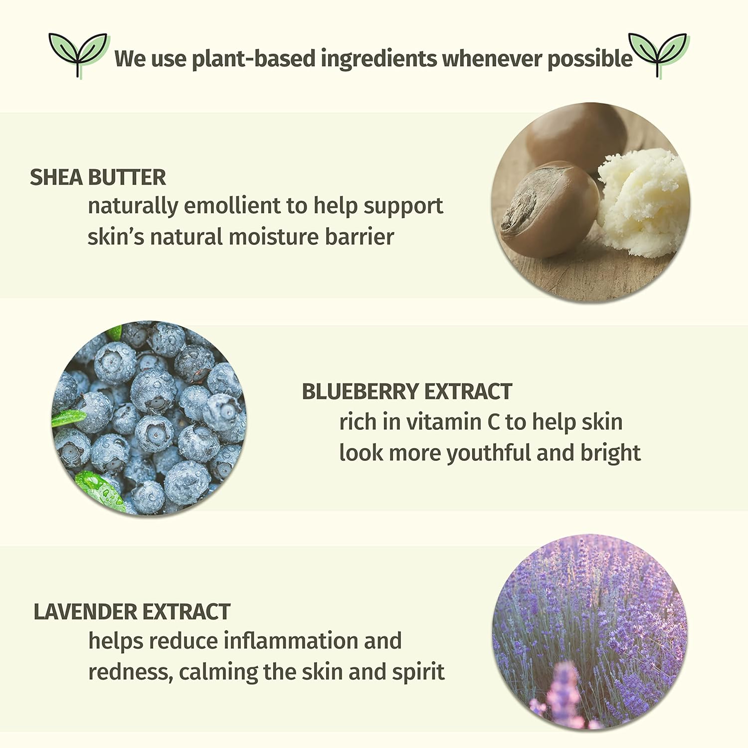 Blueberry Lavender & Chamomile Herbal Body Moisturizer, 17Oz : Beauty & Personal Care