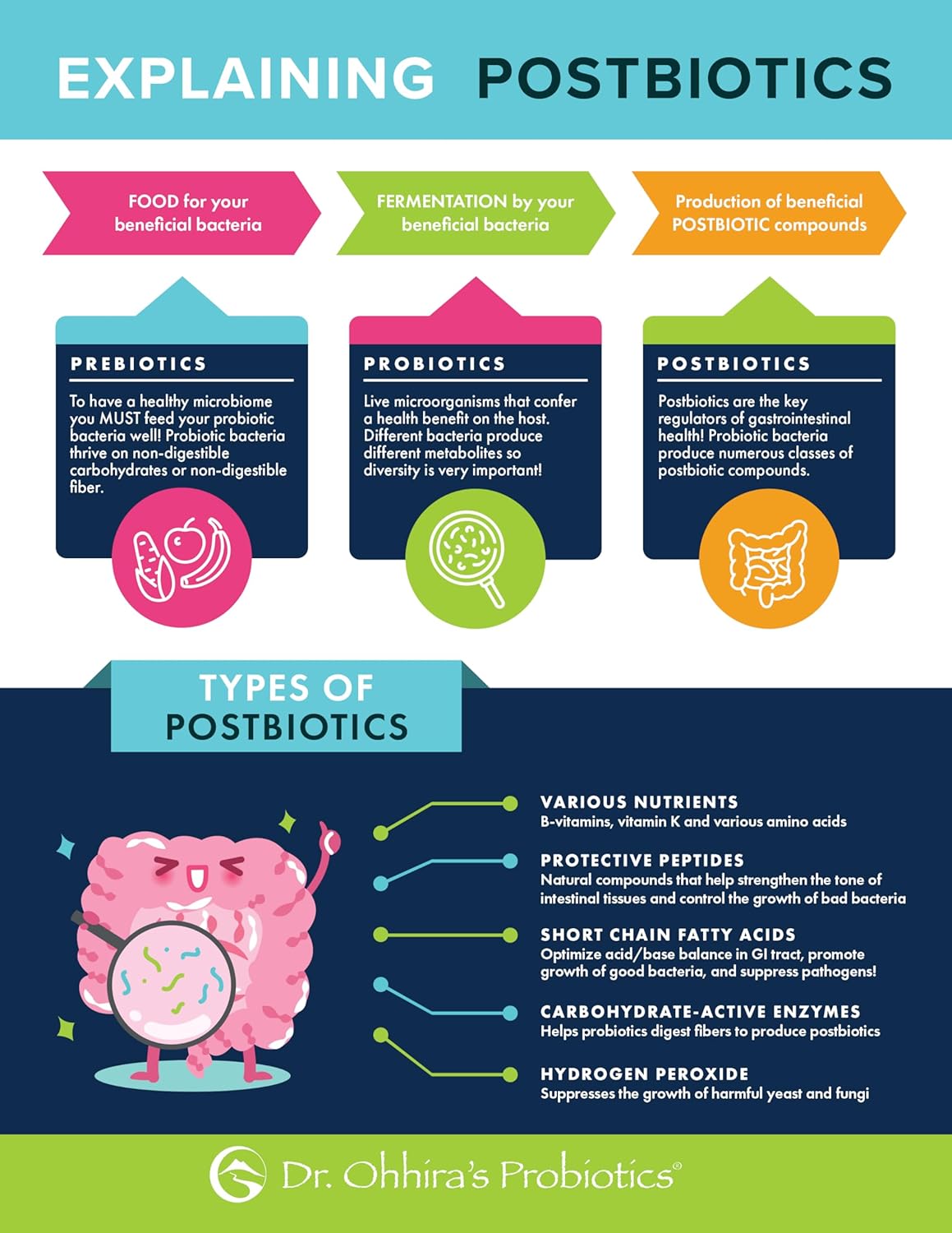 Dr. Ohhira’S Probiotics Original Formula With 3 Year Fermented Prebiotics, Live Active Probiotics And The Only Product With Postbiotic Metabolites, 60 Capsules : Health & Household
