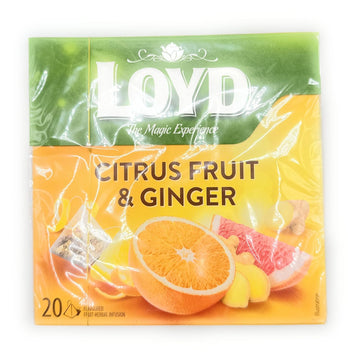 Loyd Ginger & Citrus Fruit Pyramid Tea Infusion - 20 Per Pack (0.09Lbs)