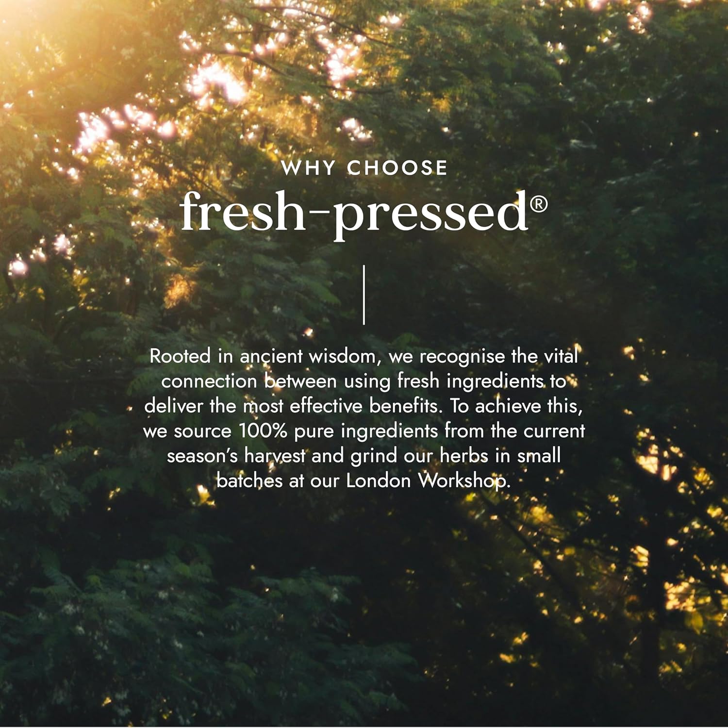 Fushi Avocado Organic Oil 100ml Extra Virgin, Biodynamic Harvested Cold Pressed : Amazon.co.uk: Grocery