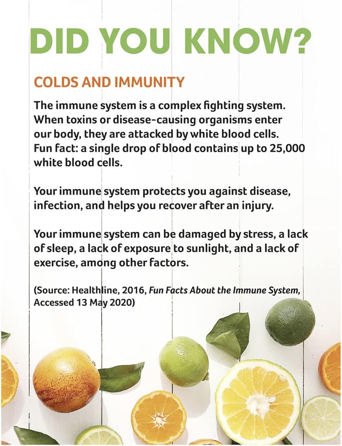 Cenovis Vitamin C 500Mg Sugarless 160 Tablets Product Of Australia : Health & Household